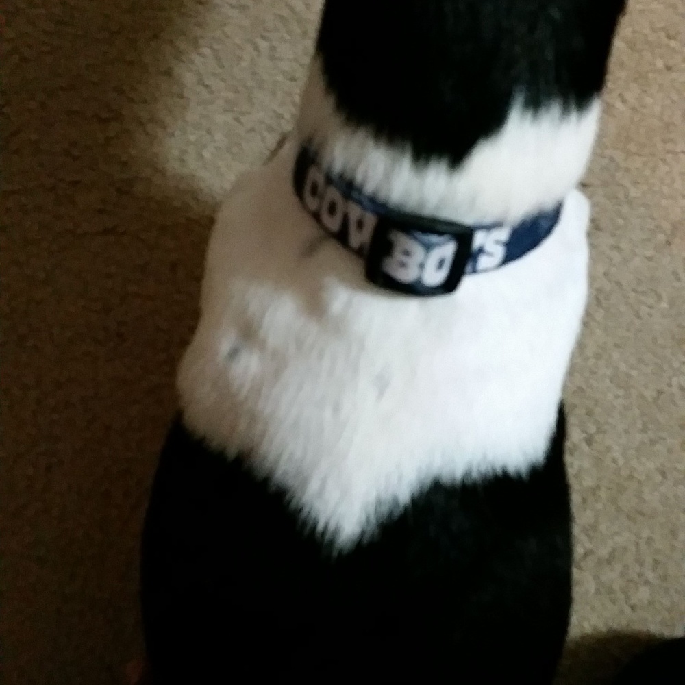 Meet your Posher, Tequila